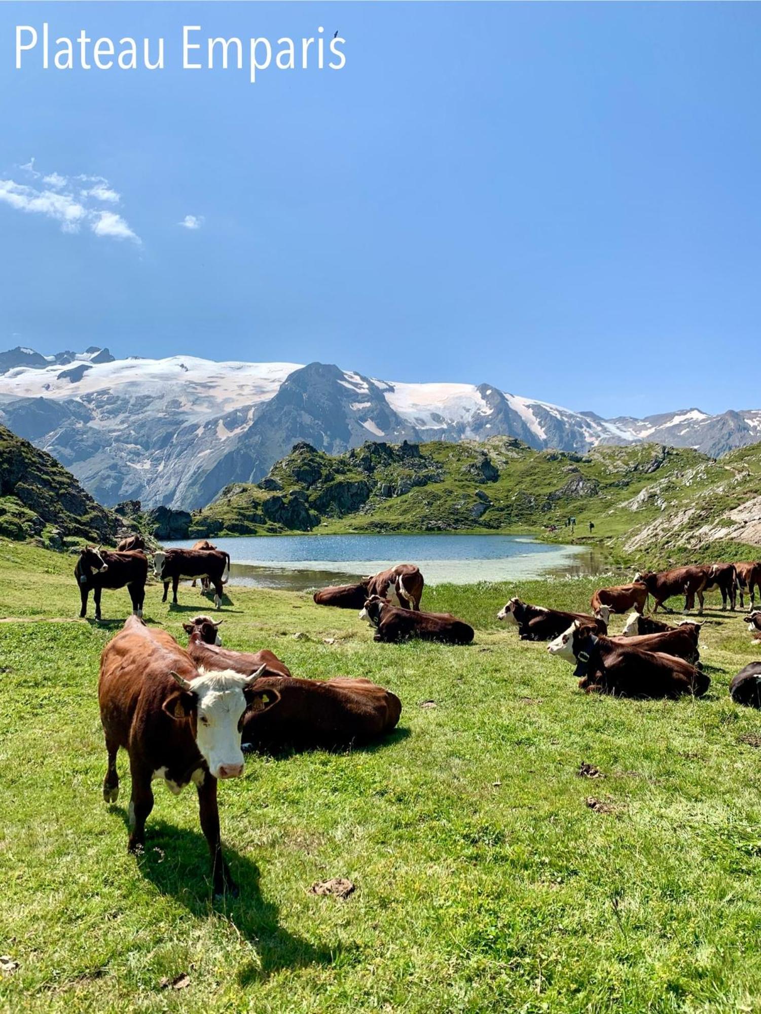 Le Dune Logement Le Bourg-dʼOisans Eksteriør billede